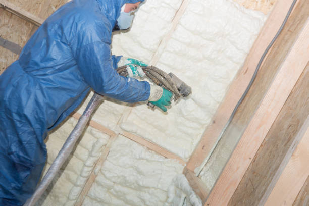 Best Eco-Friendly or Green Insulation Solutions  in Millport, AL